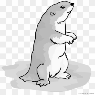Otter Clipart Printable - Prairie Dog Clipart Png, Transparent Png