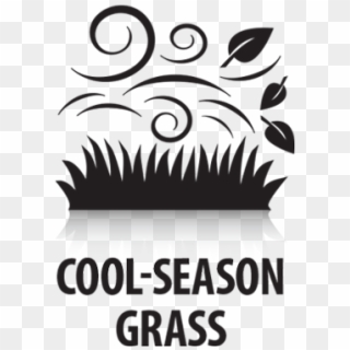 Cool Season Grass - Graphic Design, HD Png Download