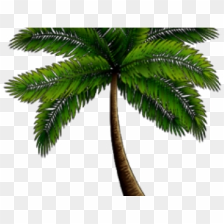 Palm Tree Clipart Palmera - Roystonea, HD Png Download