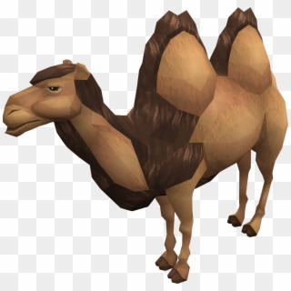 Al The Camel - Bactrian Camel, HD Png Download