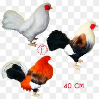 Exclusive Tailoring Of Plush Model For Collector - Rooster Fighting Toys, HD Png Download