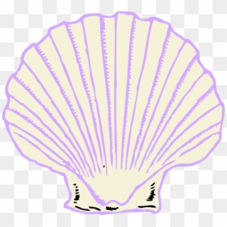Small - Purple Shell Clipart Png, Transparent Png