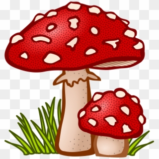 Mushroom Clipart, HD Png Download