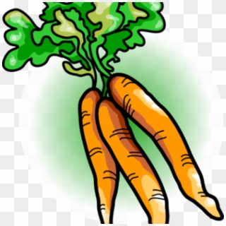 Carrot Clipart Free Carrot Clipart Image Carrots Food - Vegetables Clip Art, HD Png Download