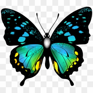 Blue Colorful Butterfly Png Clip Art Image Graphics - Real Colourful Butterfly Png, Transparent Png