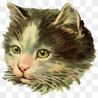 Vintage Kitty Head Scrap - Vintage Cat Illustration, HD Png Download