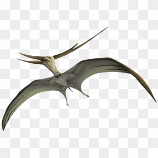 Pterodactyl Transparent Jurassic World - Jurassic World Fallen Kingdom  Pteranodon Transparent PNG - 592x295 - Free Download on NicePNG