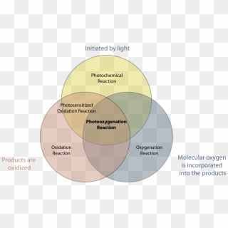 Venn Diagram Of Sight And Hearing Best Wiring Libraryfile - Circle, HD Png Download