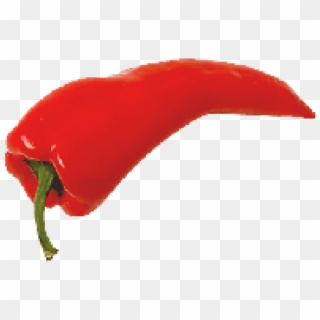 Chili Pepper .png, Transparent Png