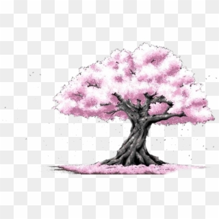Cherry Blossom Cerasus Pink - 背景 素材, HD Png Download