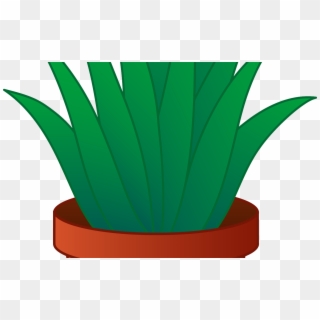 19 Potted Plants Image Library Download Huge Freebie - Aloe Vera Plant Clipart, HD Png Download