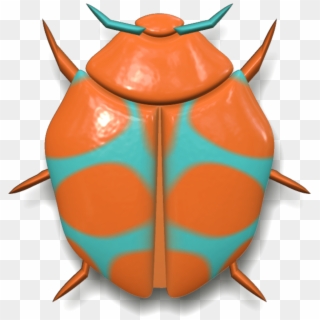 Download Ladybug Orange And Blue Transparent Png - Ladybird Beetle, Png Download
