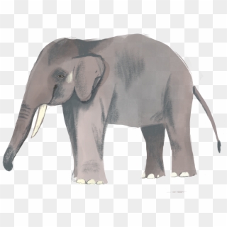 Thanks For Watching - Indian Elephant, HD Png Download