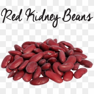 Free Png Kidney Beans Image Png Images Transparent - Red Kidney Beans Png, Png Download