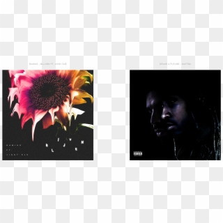 Some Covers Been Released As The Original Artwork Though - Gerbera, HD Png Download