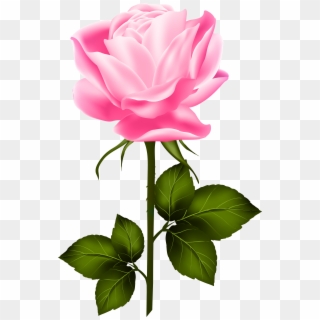Pink Rose With Stem Png Clip Art Gallery Yopriceville - Clip Art, Transparent Png