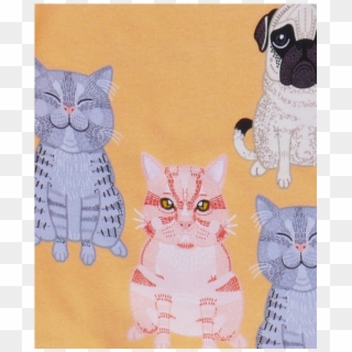 Filemon Kid Reversible Sweatshirt Pug - Kitten, HD Png Download
