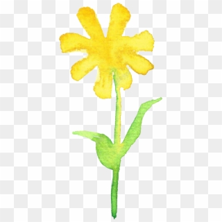 Yellow Flowers Png, Transparent Png