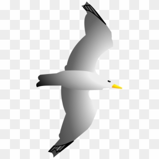 Seagull Clip Art - Sea Gull Clip Art, HD Png Download