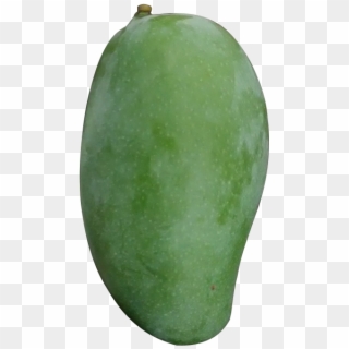 Green Mango Png - Hình Ảnh Quả Xoài Xanh, Transparent Png