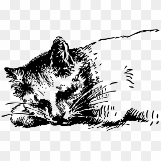 Gnu Clipart Sleeping - Real Sleeping Cats Black And White Clipart, HD Png Download