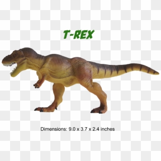 Ankylosaurus Model Triceratops Model T-rex Model - Tyrannosaurus, HD Png Download