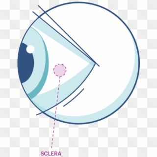 Illustration Of Any Eye Highlighting The Sclera - Circle, HD Png Download