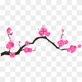 Free Png Download Sakura Branch Transparent Png Images - Cherry Blossom Transparent Background, Png Download