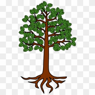28 Collection Of Tree With Roots Clipart Png - Tree With Root Cartoon, Transparent Png