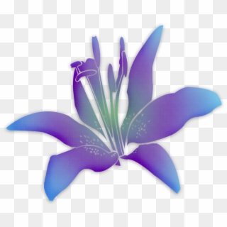 Flowers Flower Purple Flower - Lily, HD Png Download
