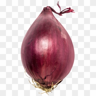Red Onion, HD Png Download