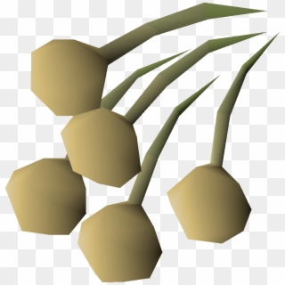 Onion Seed Osrs, HD Png Download
