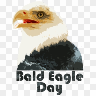 Bald Eagle Day Logo Png - Bald Eagle, Transparent Png
