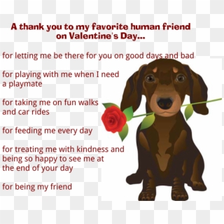 Valentine's Day Message From Dog, HD Png Download