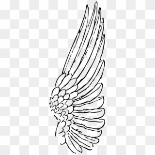 Wing - One Angel Wing Clipart, HD Png Download
