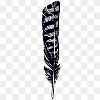 Feather Jen Mussari Transparent Feathers Hawk Banner - Hawk Feather Black And White, HD Png Download