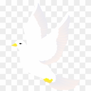 Dove Clipart Vector Png - Bird Vector Png White, Transparent Png