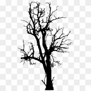 Png File Size - Dead Tree Silhouette Png, Transparent Png