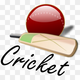 We Expect To Have Your Company On Wednesday As Well - Cricket Clipart, HD Png Download
