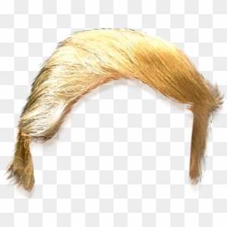 Donald Trump Hair Cut Out, HD Png Download