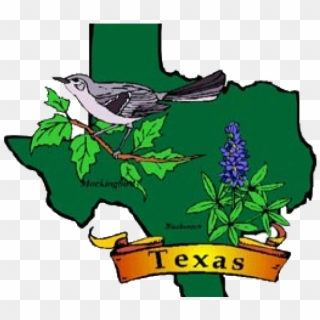 Mockingbird Clipart Texas State Bird - Map Of Texas With State Bird And Flower, HD Png Download