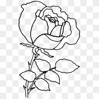Download Png Rose Outline S Clipart Png Photo - Png Rose Drawing, Transparent Png
