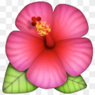 Hawaiian Flower Emoji Png, Transparent Png