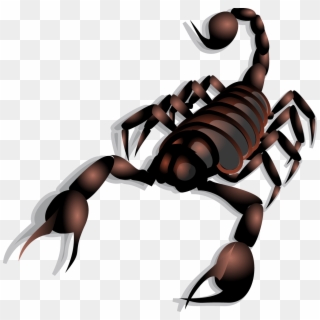 Scorpion Clipart Arthropod - Scorpion Clip Art, HD Png Download
