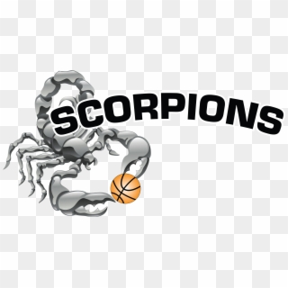Scorpion Basketball, HD Png Download
