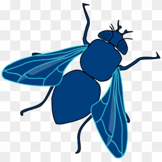 Fly Png Transparent Image - Blue Fly Clipart, Png Download