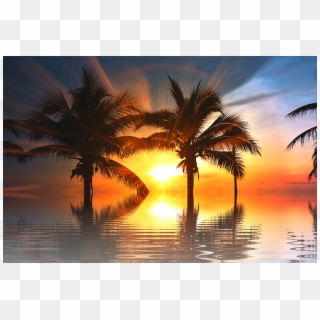 Sunset, Sun, Vacations, Nature, Tree, Isolated, Scenic - Hi Friends Good Evening, HD Png Download