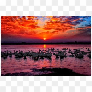 Medium Image - Sunset, HD Png Download