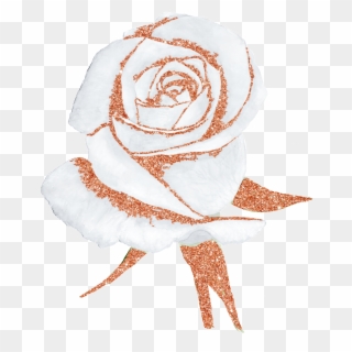 Hand Painted A White Rose Png Transparent Free Download, Png Download