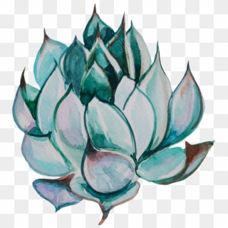 Collection Of Free Succulent - Transparent Background Succulent Drawing Png, Png Download
